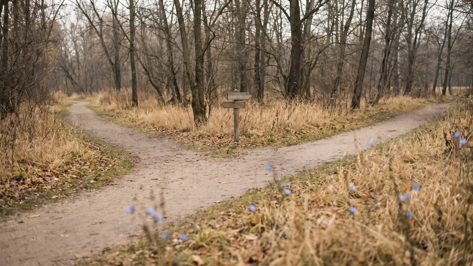 Bifurcação de dois caminhos de terra num bosque de inverno, com uma placa de madeira sem escrita no meio
